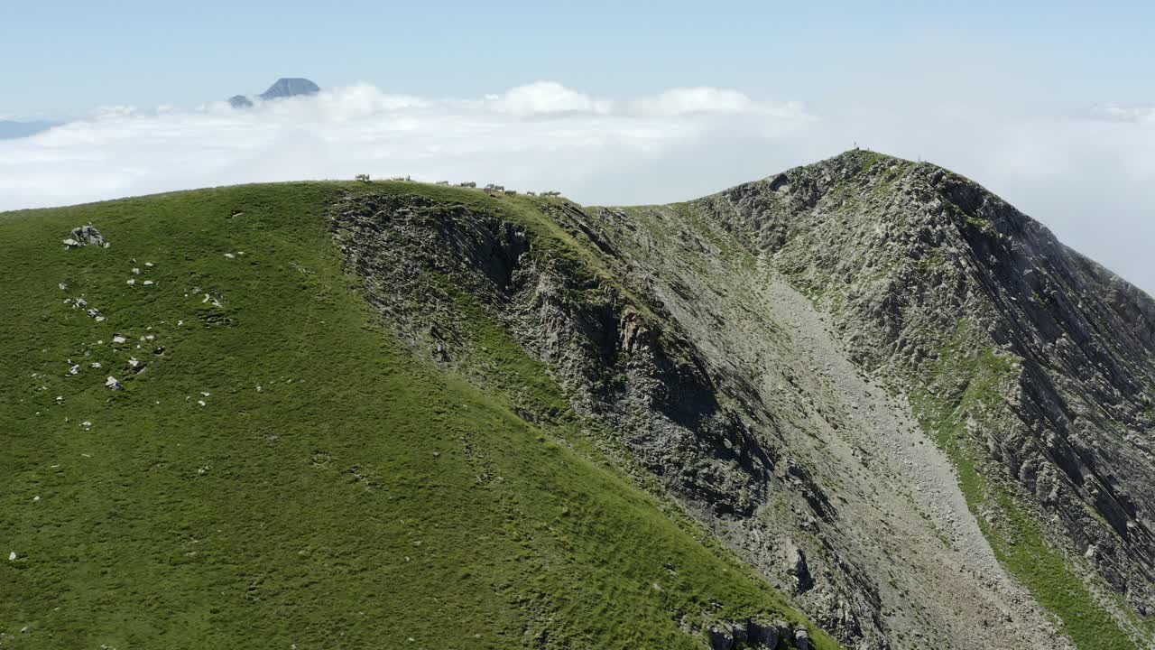 Shot of drone, flying over a mountain's ridge with cows in the foreground : 3