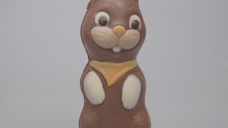 incline hacia arriba el conejito de pascua de chocolate contra un fondo blanco.