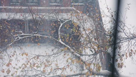 Autumn-leaves-cling-to-branches-amid-a-snowy-backdrop