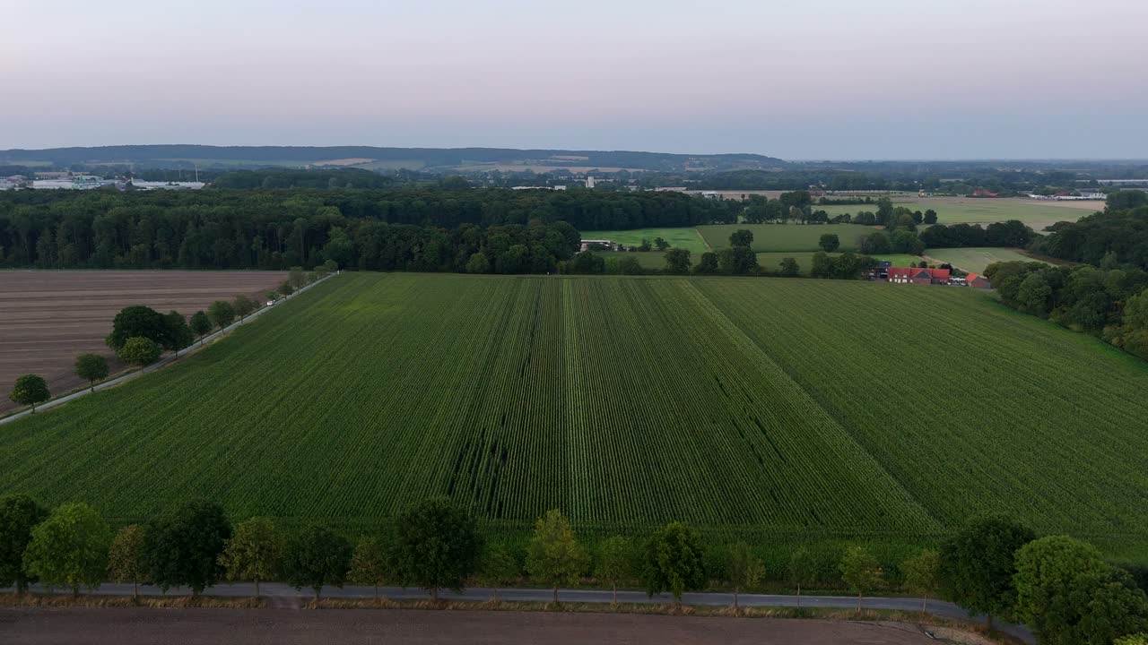 German farmhouse with red brick and roof during dawn in the morning. Green cultivated fields, green trees along avenue in rural suburbia. Aerial forward wide shot. Cloudy day in summer