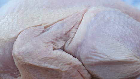 raw chicken close-up