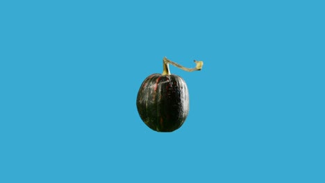 calabaza girando en movimiento de bucle