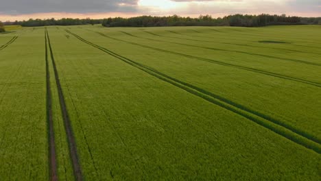 Extreme-winds-at-Europe-Latvia-Courland-rural-lands-aerial