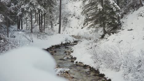 a clear mountain stream winds through a snow-covered alpine forest, flanked by silent trees and icy banks.