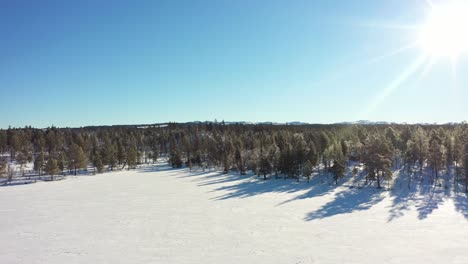 Approaching-arctic-norwegian-wilderness-pine-forest-above-frozen-snow-covered-lake-during-beautiful-morning-sun-with-sunflares---Nesfjellet-mountain-Norway