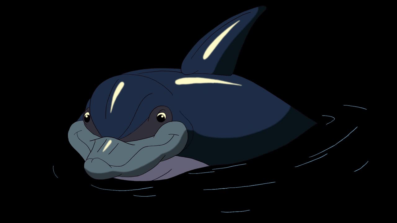 물 속의 돌고래 4k 알파 매트