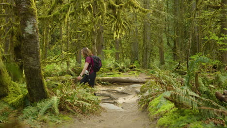 Woman-with-camera-and-backpack-hiking-through-rainforest-in-Vancouver,-Canada