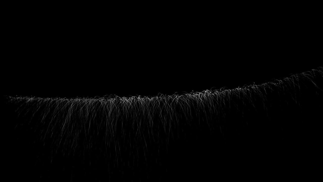 Hair, Soft Background