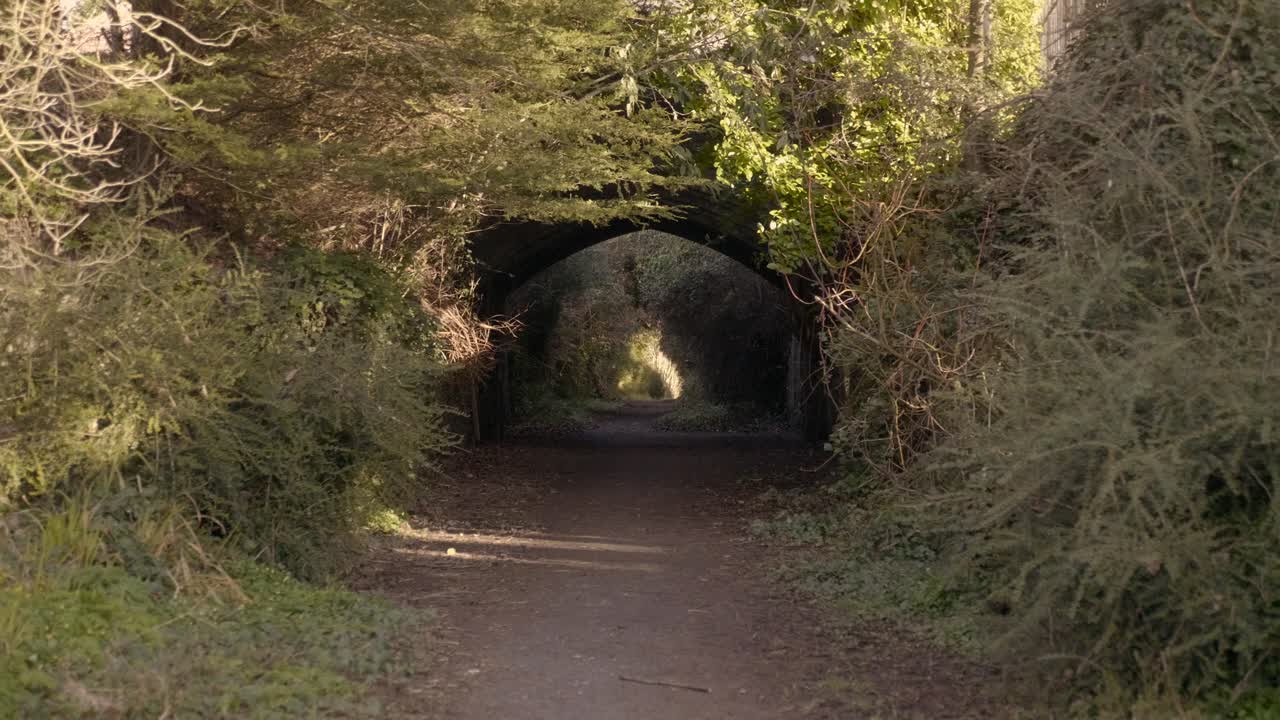 A Dirt Pathway Surrounded By Plants And Trees Going To The Bridge Located In Northern Ireland. -wide shot