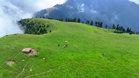 4k drone footage of kuna dana meadow with misty clouds