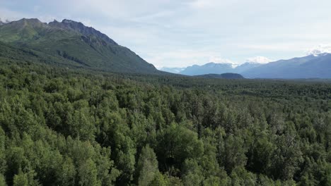 un hermoso paisaje en alaska, filmado con un avión no tripulado.