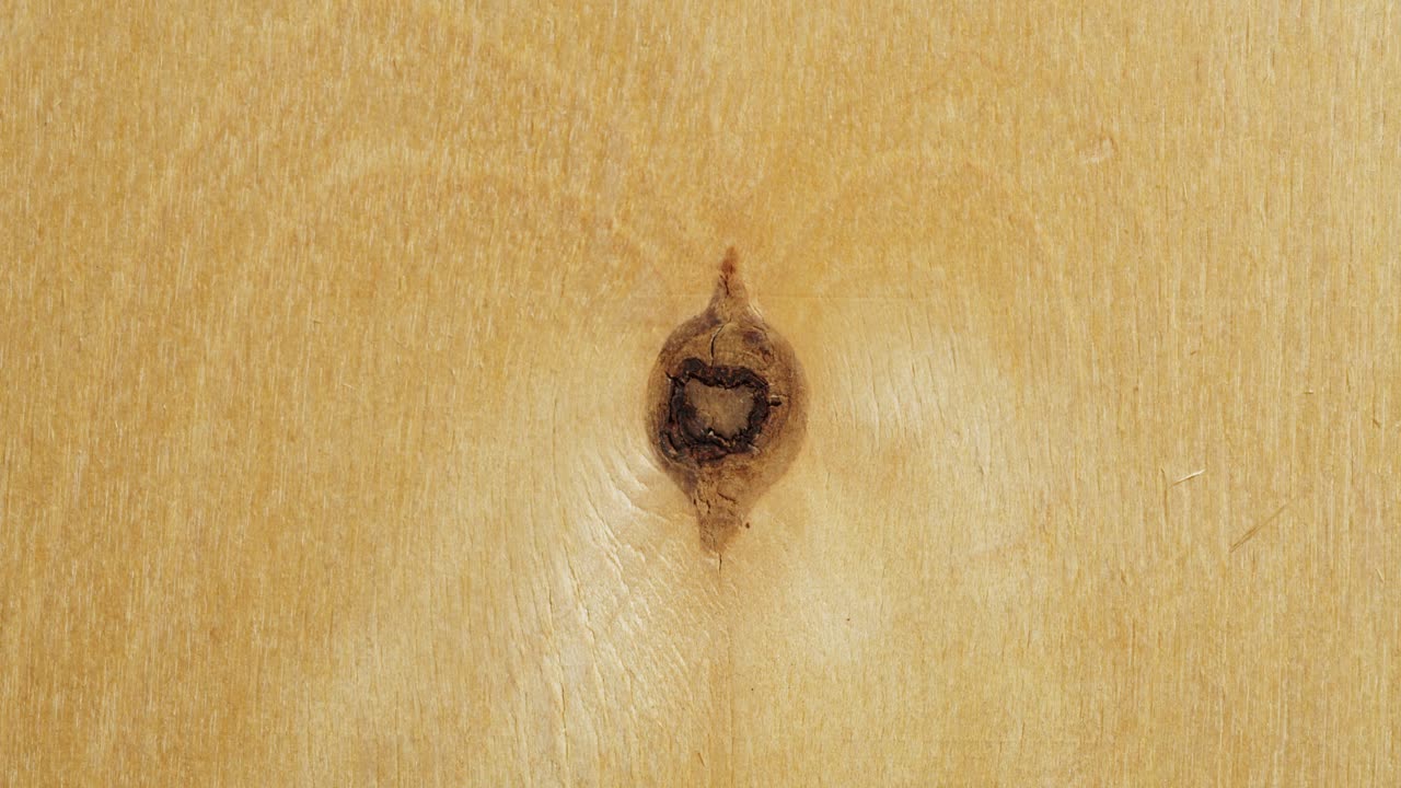 Wood texture with knot