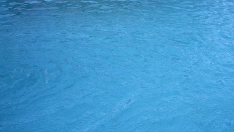 the water swirling on the surface of a swimming pool