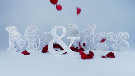 rose petals falling onto a mr - mrs sign in slow motion