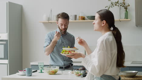 happy vegetarian couple chatting and eating a healthy meal, standing in a modern style kitchen