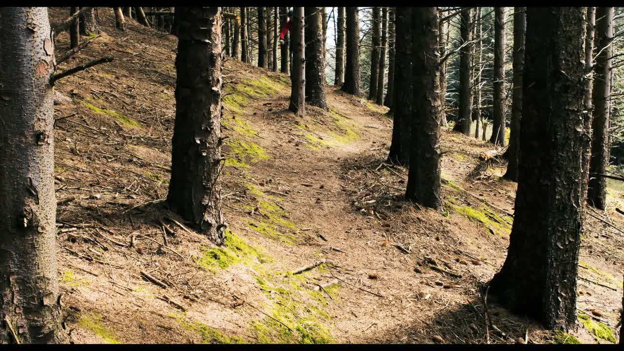 산악 자전거 타는 자전거 타는 산악 자전거 타는