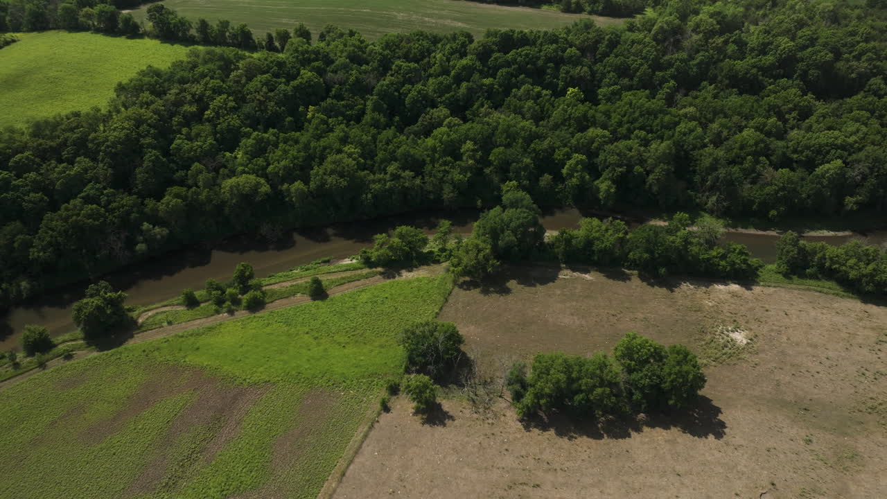 una franja de bosque que se extiende a lo largo de vastas tierras de cultivo durante un verano tranquilo y soleado