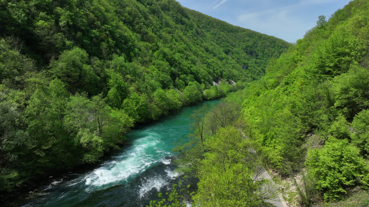 Una scena naturale incontaminata con un fiume limpido fiancheggiato da alberi appena rinverditi e un cielo sereno, vista dall'alto.