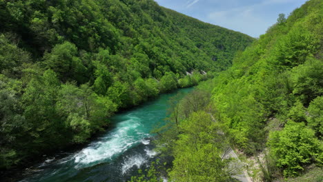 an untouched natural scene featuring a clear river flanked by newly green trees and a gentle sky, viewed from above