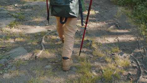 niño caminando con palos de senderismo en el sendero del bosque