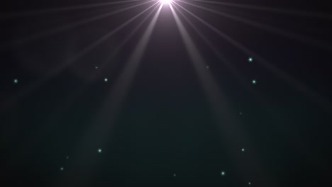 luces de mosca y rayos de sol en un fondo brillante
