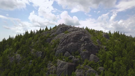 Aerial-view-of-pine-trees-growing-on-top-of-a-rocky-mountain