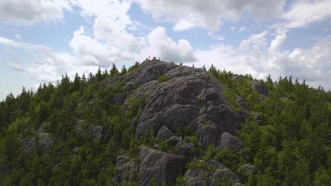 aerial view of pine trees growing on top of a rocky mountain