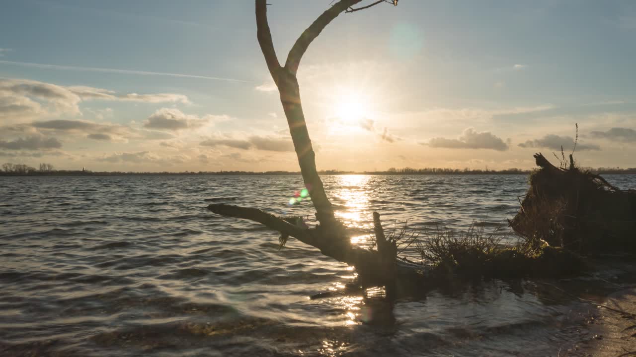 Time lapse delle onde che si infrangono su un vecchio tronco d'albero sulla spiaggia, ripresa con slider alla luce del sole