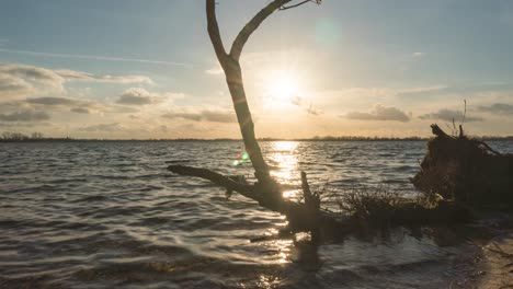 Time-lapse-of-waves-washing-over-old-tree-trunk-on-beach,-sunlight-slider-shot