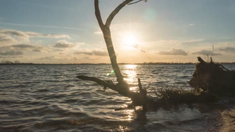 lapso de tiempo de las olas que se lavan sobre el viejo tronco de un árbol en la playa, tiro deslizante de la luz del sol