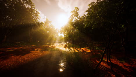 Lago-Neblinoso-Y-Vibrantes-Colores-Otoñales-En-Los-árboles-Al-Amanecer