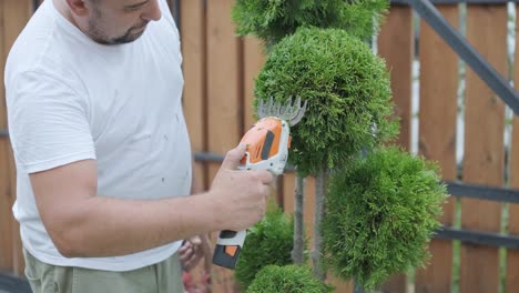 man trimming topiary tree in backyard garden for landscaping and maintenance