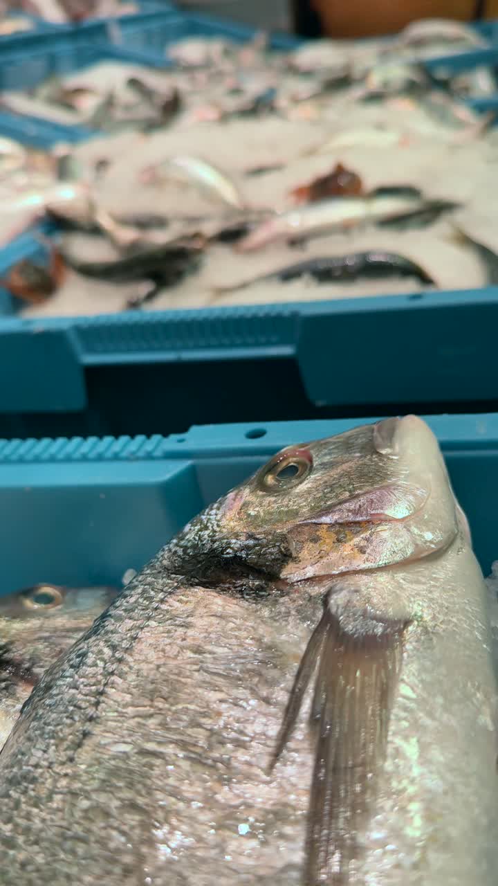 Fresh Fish and Seafood at a Market