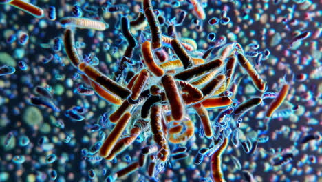 microscopic view of various microorganisms or bacteria