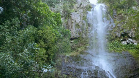 beautiful waterfall in a lush tropical forest