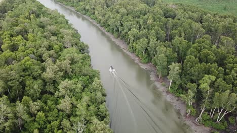 vista aérea de un barco de pesca moviéndose en el bosque de manglares.