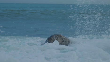 4k cinematic slow motion shot of waves hitting rocks on the beach during sunset, at church ope, on portland, dorset.