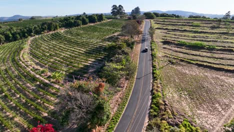 Fahrzeug-Auf-Verlassener-Straße-In-Ländlicher-Landschaft