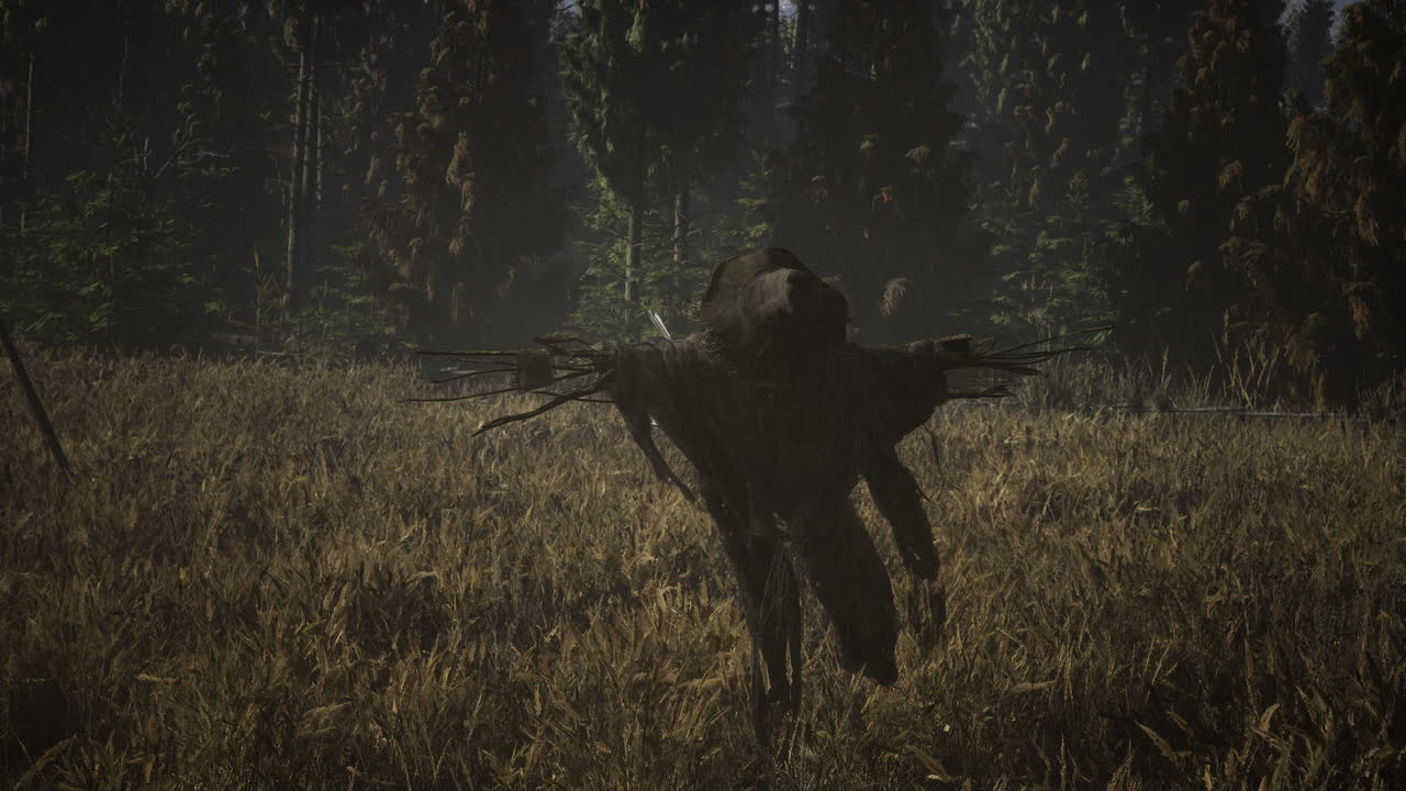 Scarecrow on the old village field