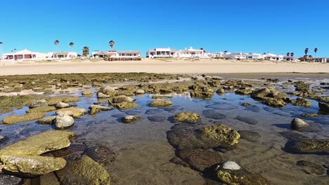 pan izquierda a través de las pozas de marea que quedan en la playa después de que baja la marea, puerto peñasco, golfo de california, méxico