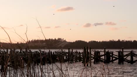 Gaviotas-Volando-Sobre-Un-Viejo-Muelle-Al-Atardecer