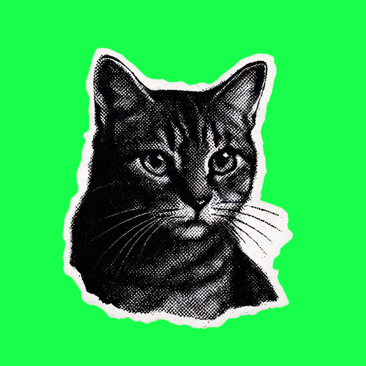 Animasi ilustrasi kucing vintage, video 4K transparan, layar hijau