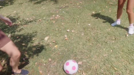 Women Playing Soccer in the Park
