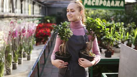 joven florista con cola de caballo en delantal caminando entre filas de flores en una floristería o invernadero mientras sostiene dos ollas con plantas en sus manos. sonriendo y mirando a la cámara. disparo en cámara lenta