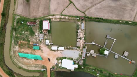 Aerial-view-of-the-roof-of-a-small-house-located-in-the-middle-of-rice-fields-and-a-pond