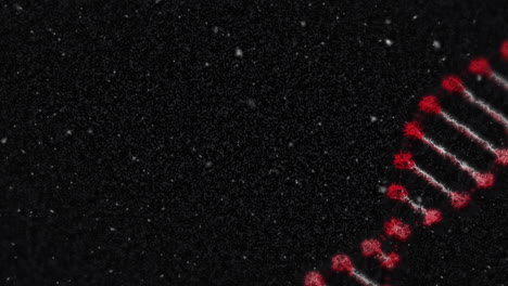 animación de partículas blancas que caen sobre la estructura de adn giratoria contra un fondo negro
