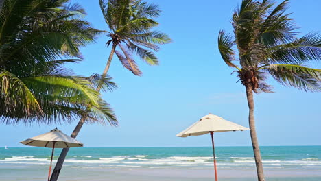 sombrillas de playa y cocoteros bajo el viento cerca del mar en un día soleado
