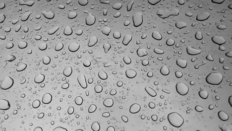 Water Droplets on a Gray Surface