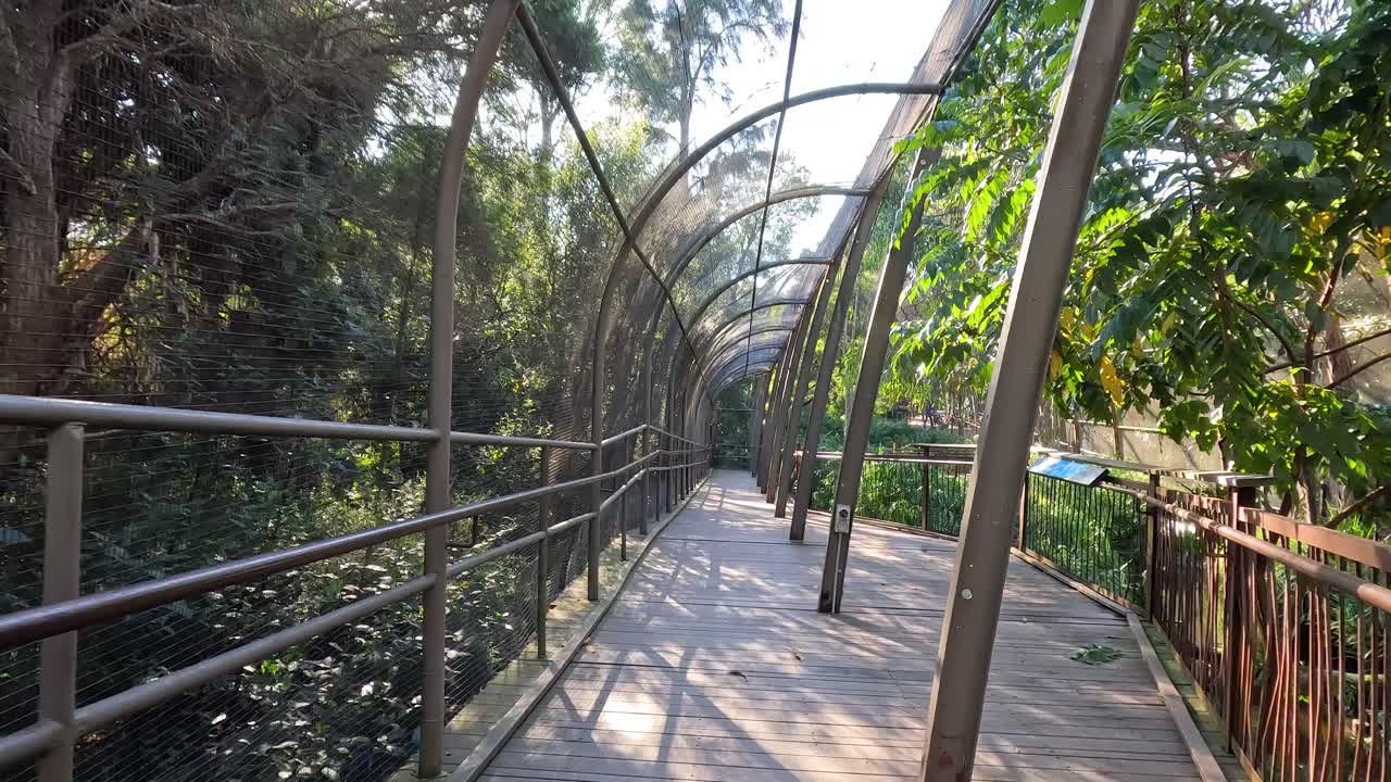 un paseo a través de una exposición de jaula de pájaros