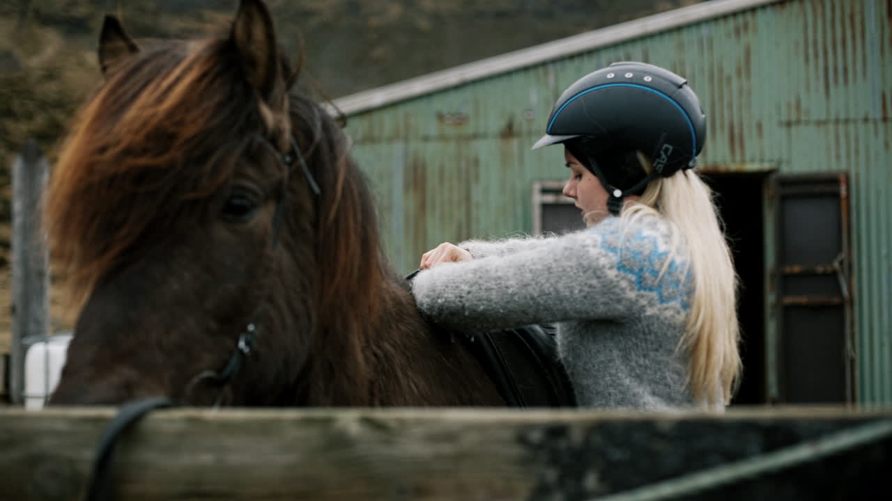 Woman Preparing Icelandic Horse for Riding